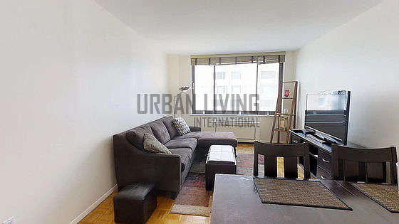 New York Albany Street Monthly Furnished Rental 1