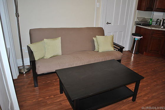 Brooklyn 17th Street Monthly Furnished Rental 1 Bedroom