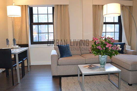 1 Bedroom Furnished Apartment With Elevator Pets Accepted And Wifi Only Midtown East 550 Sqft Rental From 7 284 Month