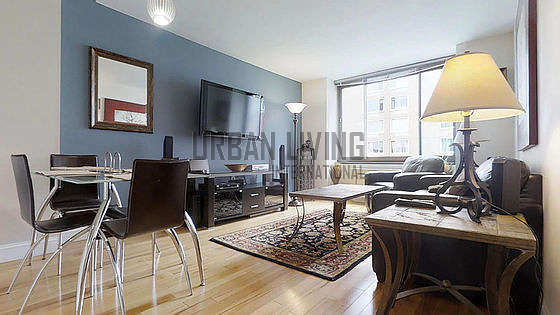 New York Albany Street Monthly Furnished Rental 1