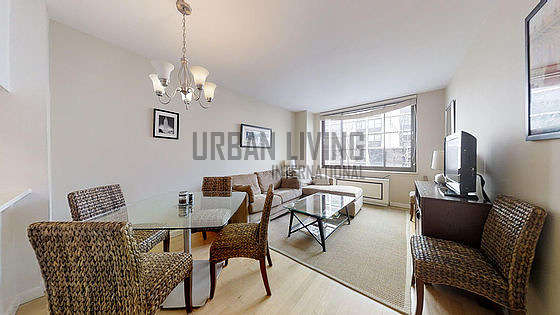 New York Albany Street Monthly Furnished Rental 1