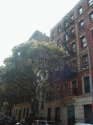 公寓 Gramercy Park - 建筑物