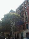 Apartamento Gramercy Park - Prédio