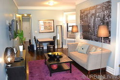 公寓 Upper West Side - 客厅