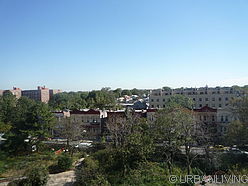 Appartement Flatbush - Terrasse