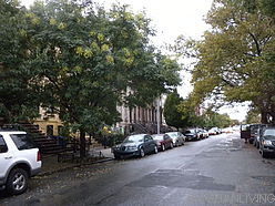 Квартира Bedford Stuyvesant