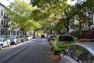 Townhouse Crown Heights - Building