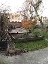 Apartment Crown Heights - Yard