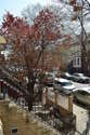 Appartement Sunset Park - Immeuble