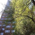 Apartamento Turtle Bay - Prédio