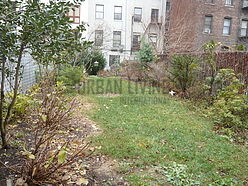 Apartment Harlem - Yard