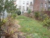 Apartment Harlem - Yard