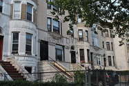 Apartment Crown Heights - Building