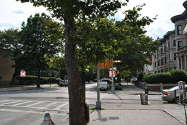 Apartment Crown Heights - Building