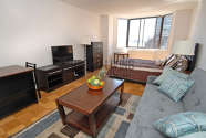 Apartment Turtle Bay - Living room