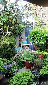 Apartment Woodside - Yard