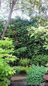 Wohnung Woodside - Garten