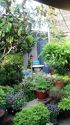 Apartment Woodside - Yard