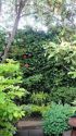 Apartment Woodside - Yard