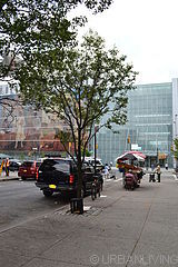 Appartamento Harlem