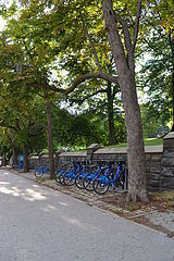Apartment Fort Greene