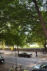 Appartamento Fort Greene