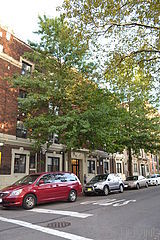 Apartment Ditmas Park