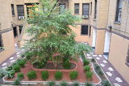 Appartement Ditmas Park - Immeuble
