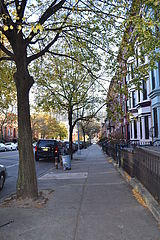 Duplex Carroll Gardens