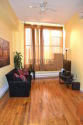 Duplex Carroll Gardens - Living room