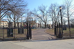 Квартира Bushwick