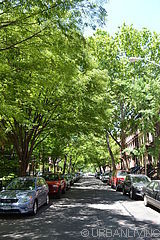Appartement Crown Heights