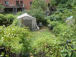 Appartamento Harlem - Giardino