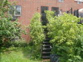 Appartamento Harlem - Giardino