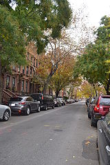 Apartment Harlem