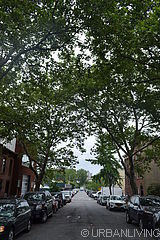 デュプレックス Carroll Gardens