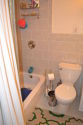 Duplex Carroll Gardens - Bathroom