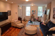 Duplex Carroll Gardens - Living room