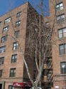 Appartamento Queens county - Edificio