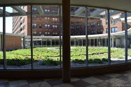 Apartment Corona - Building