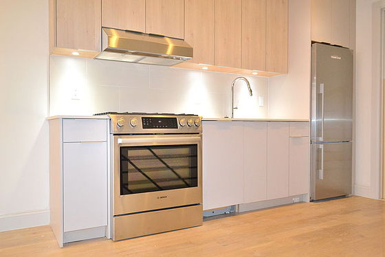 Apartment Jefferson Avenue Stuyvesant Heights