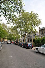 Apartamento Bay Ridge