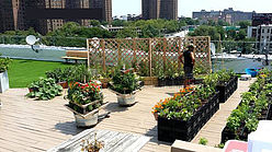Wohnung Bronx