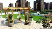 Apartment Bronx - Building