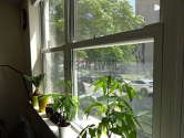 Wohnung Harlem - Wohnzimmer