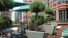 Apartment Tribeca - Building