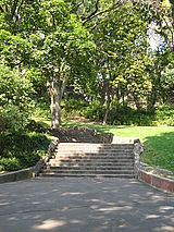 Квартира Harlem