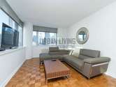 Apartment Hell's Kitchen - Living room