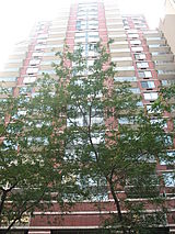 Apartment Chelsea