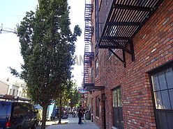 Wohnung Williamsburg